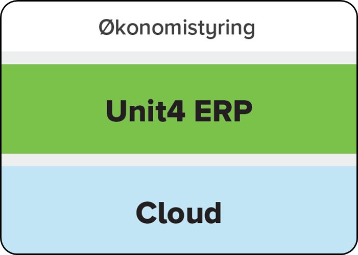 table showing main capabilities of this customer's Unit4 solution