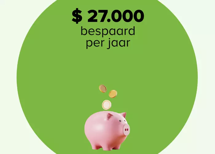 Miniatuurafbeelding van video van munten die in een spaarvarken vallen
