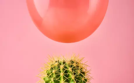 Spiky cactus and a balloon