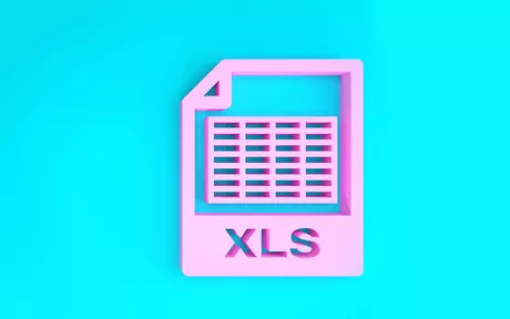 xls file