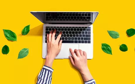 laptop with leafs