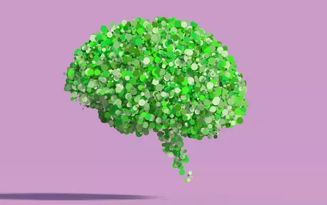 brain